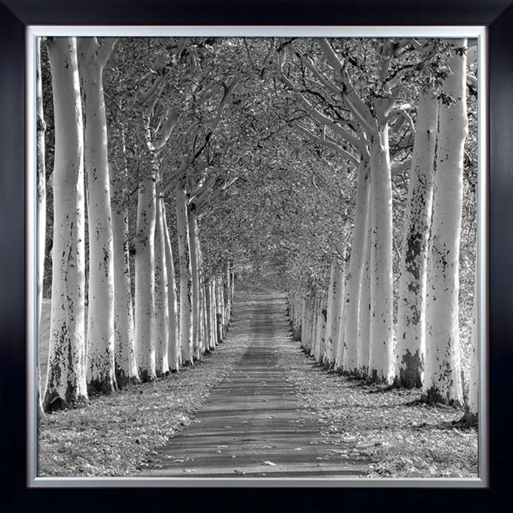 Landscape Photographic Square Framed in Black 117cm X 117cm | Washington Lighting and Interiors Landscape Photographic Square Framed in Black 117cm X 117cm | Washington Lighting and Interiors