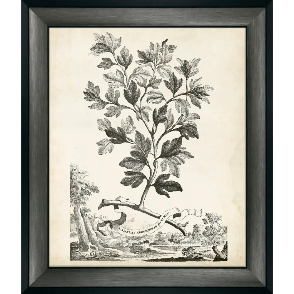 Botanical Portrait Framed in Grey 965cm X 81cm | Washington Lighting and Interiors Botanical Portrait Framed in Grey 965cm X 81cm | Washington Lighting and Interiors